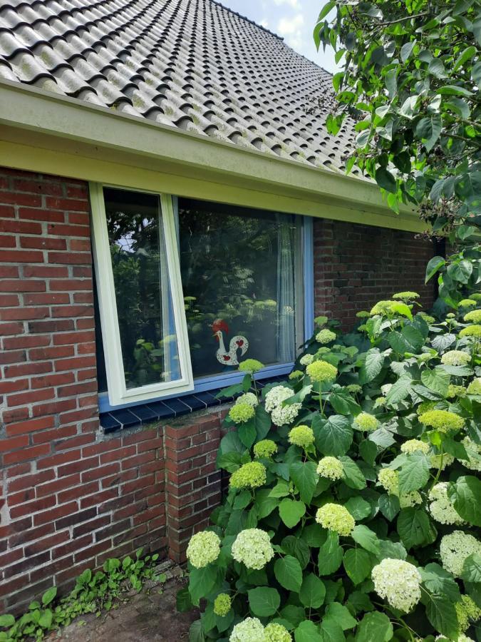 Apartamento Vledderstee Vledderveen  Exterior foto