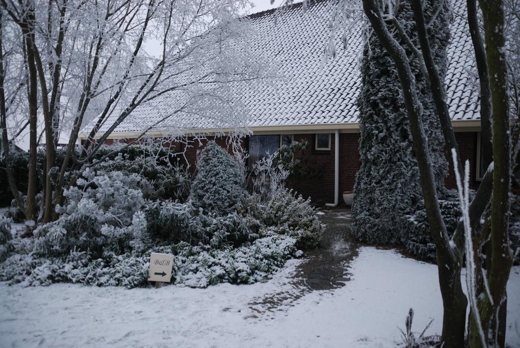 Apartamento Vledderstee Vledderveen  Exterior foto